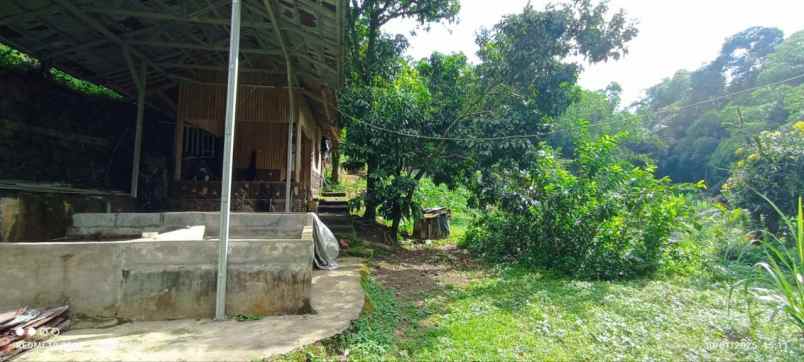 tanah kebun durian villa dan cafe cijeruk bogor