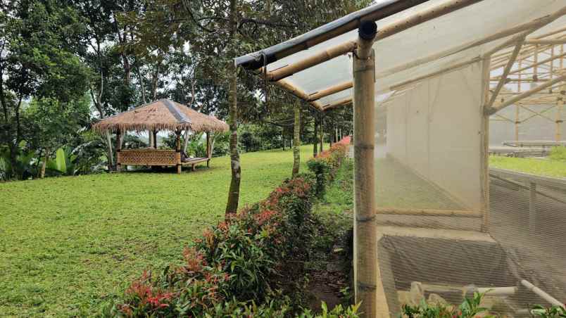 tanah kebun durian villa dan cafe cijeruk bogor