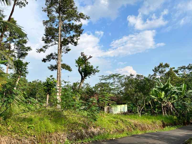 tanah mojogedang karanganyar