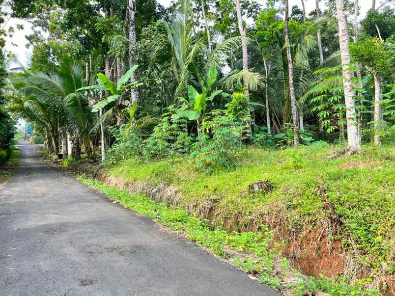 tanah mojogedang karanganyar