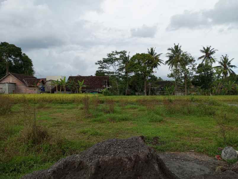 tanah murah di jalan kaliurang km 10 sleman yogyakarta