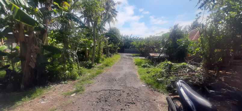 tanah murah di lovina sentral lokasi strategis