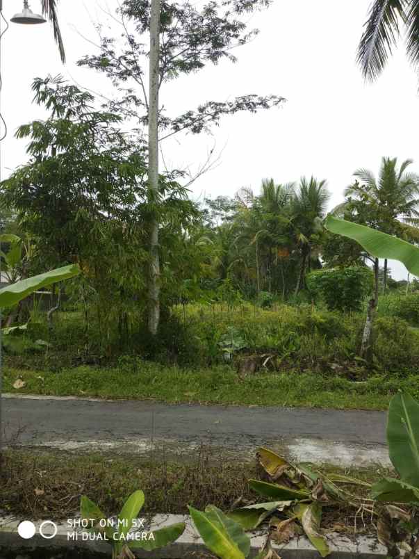 tanah sawah di sukodono donokerto turi sleman