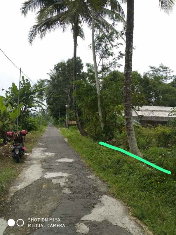 tanah sawah di sukodono donokerto turi sleman