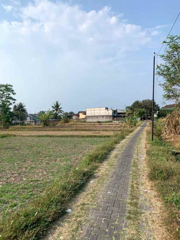 tanah sawah strategis 150 meter dari jalan gito gati