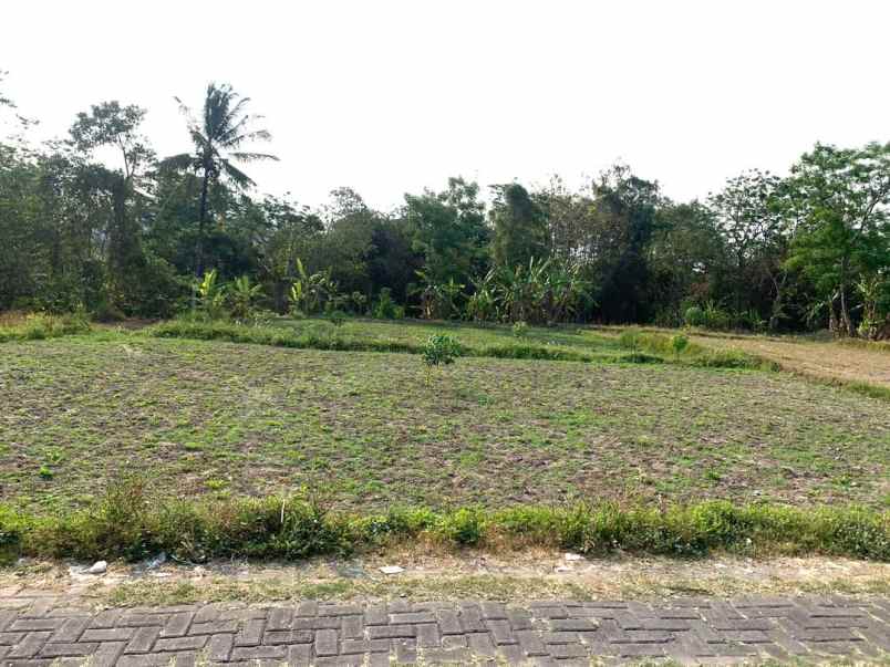 tanah sawah strategis 150 meter dari jalan gito gati