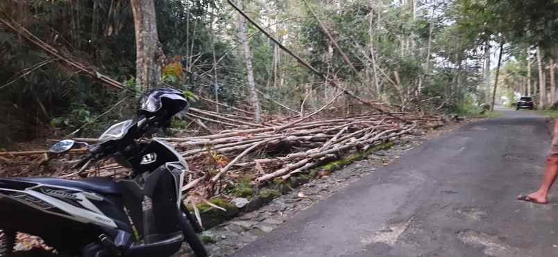 tanah shm prospek untuk di bangun