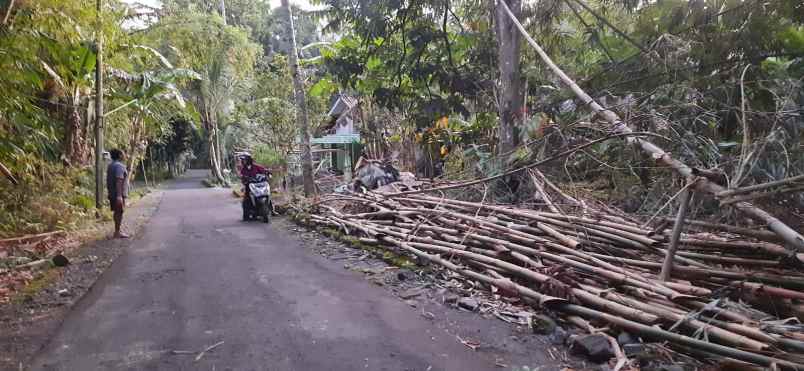 tanah shm prospek untuk di bangun