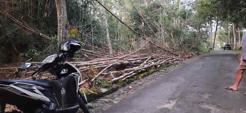 tanah shm prospek untuk di bangun