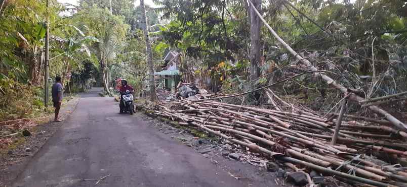 tanah shm prospek untuk di bangun