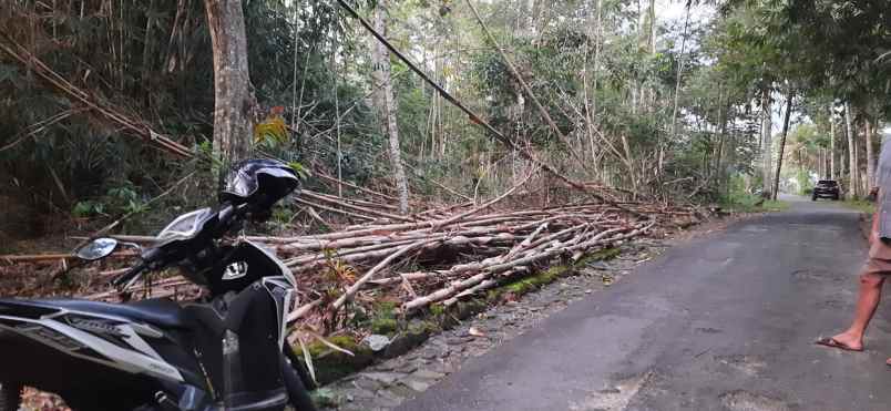 tanah shm prospek untuk di bangun