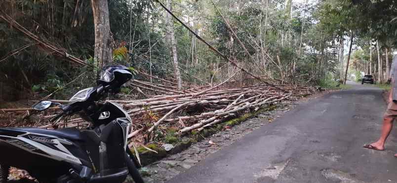 tanah shm prospek untuk di bangun