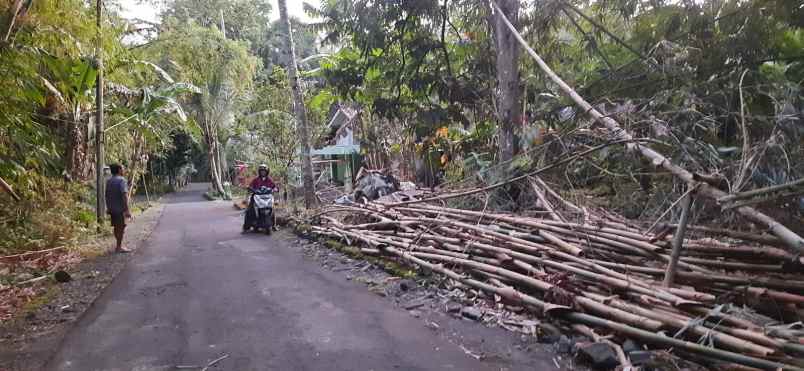 tanah shm prospek untuk di bangun