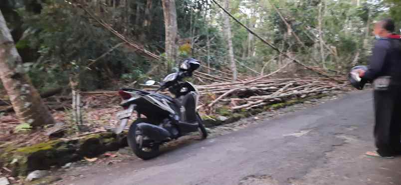 tanah shm prospek untuk di bangun