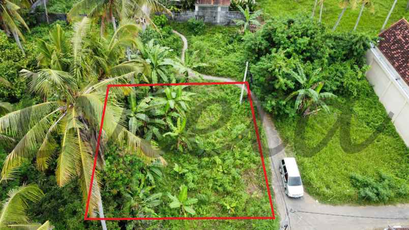 tanah suasana nyaman di ubud bali