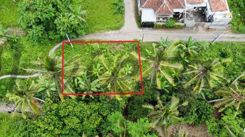 tanah suasana nyaman di ubud bali