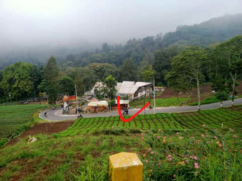 tanah subur super luas murah view pegunungan kota batu