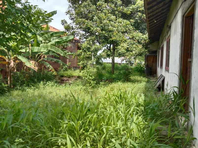 tanah ungaran view gunung jalan nasional semarang solo