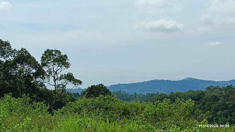 tanah view laut dan gunung di kemiling luas 4000m shm