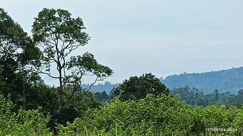 tanah view laut dan gunung di kemiling luas 4000m shm