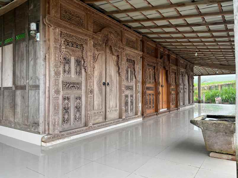 villa limasan cocok untuk cafe penginapan kemuning