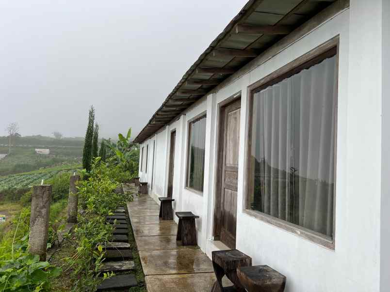 villa limasan cocok untuk cafe penginapan kemuning
