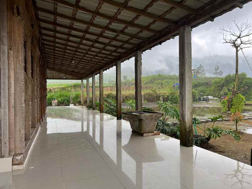 villa limasan cocok untuk cafe penginapan kemuning