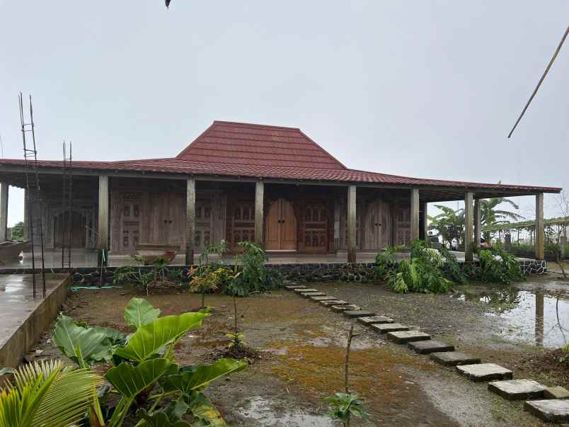 villa limasan cocok untuk cafe penginapan kemuning