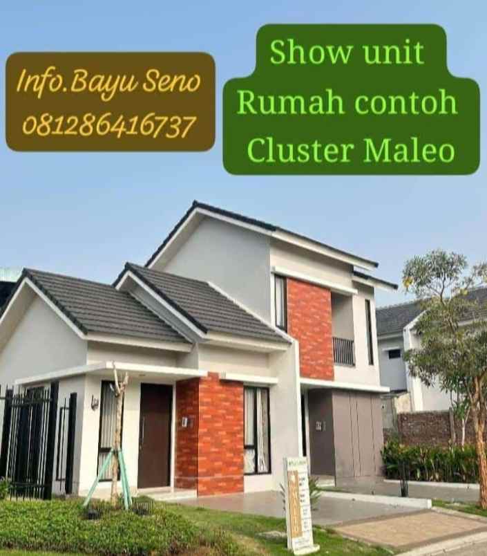 cluster maleo puri jaya bebas banjir free biaya surat