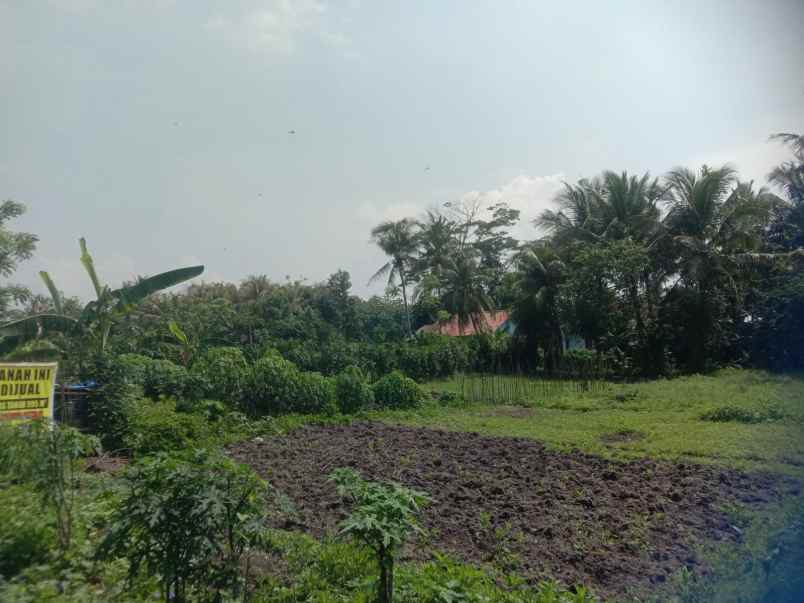 dijual cepat tanah pipitan walantaka serang banten