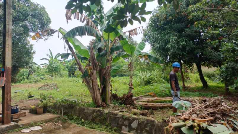 dijual cepat tanah rumah gudang dan kebun di bekasi