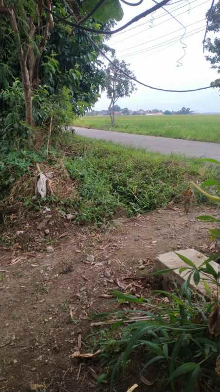 dijual cepat tanah sawah 8250 m2 di kawasan berkembang