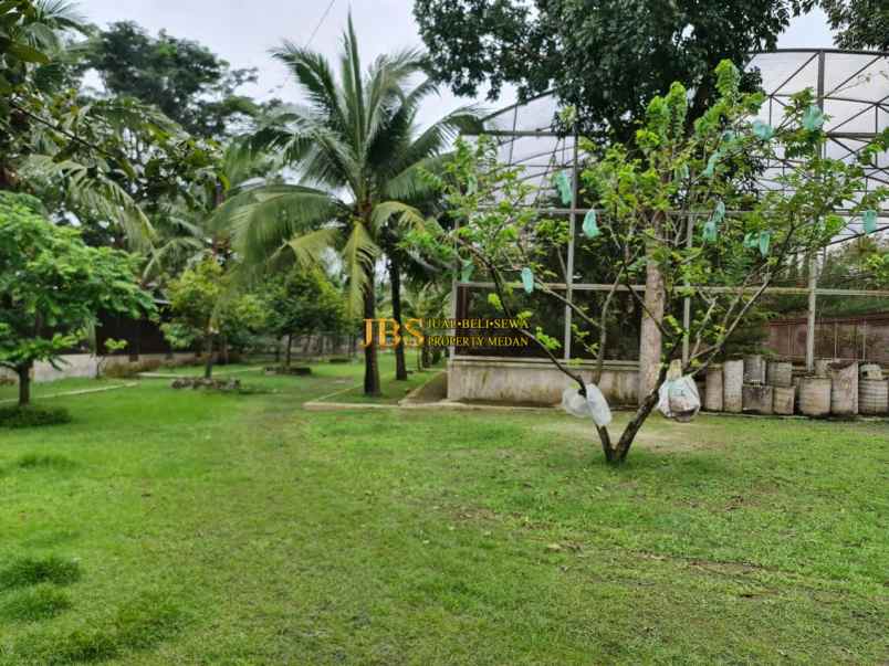 dijual ruko gudang kantor jalan kayu besar jl batang