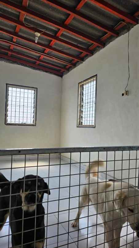 dijual ruko gudang kantor menur