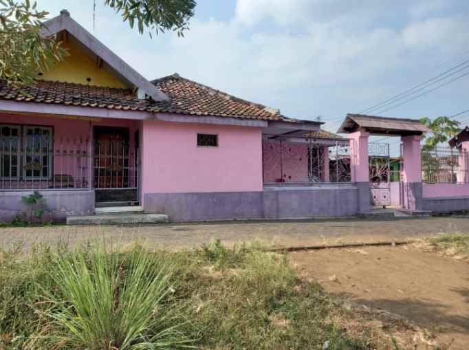 dijual rumah dijual rumah di jemunang