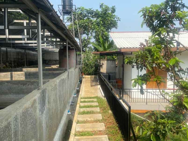 dijual rumah kebun di bogor kota