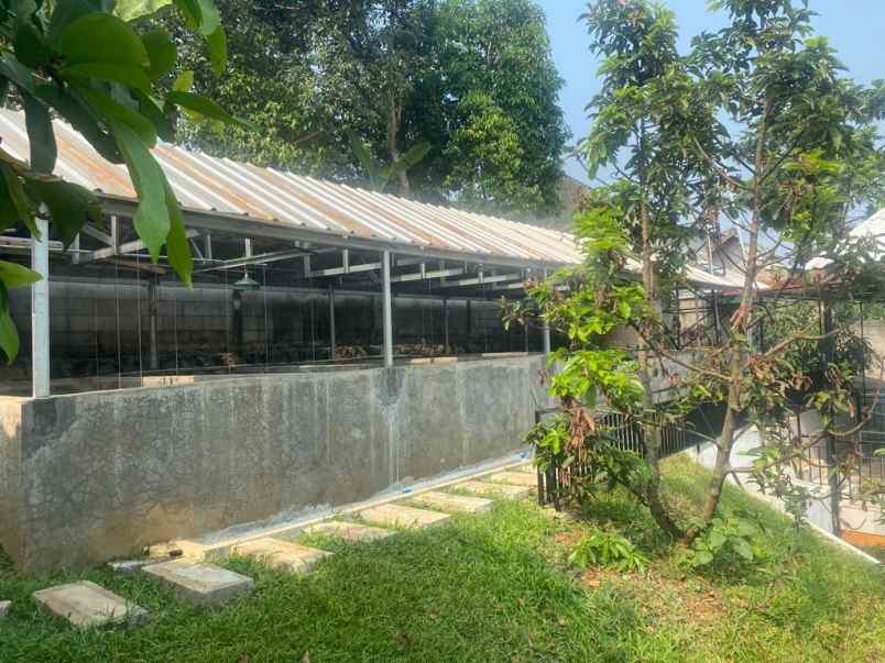 dijual rumah kebun di bogor kota