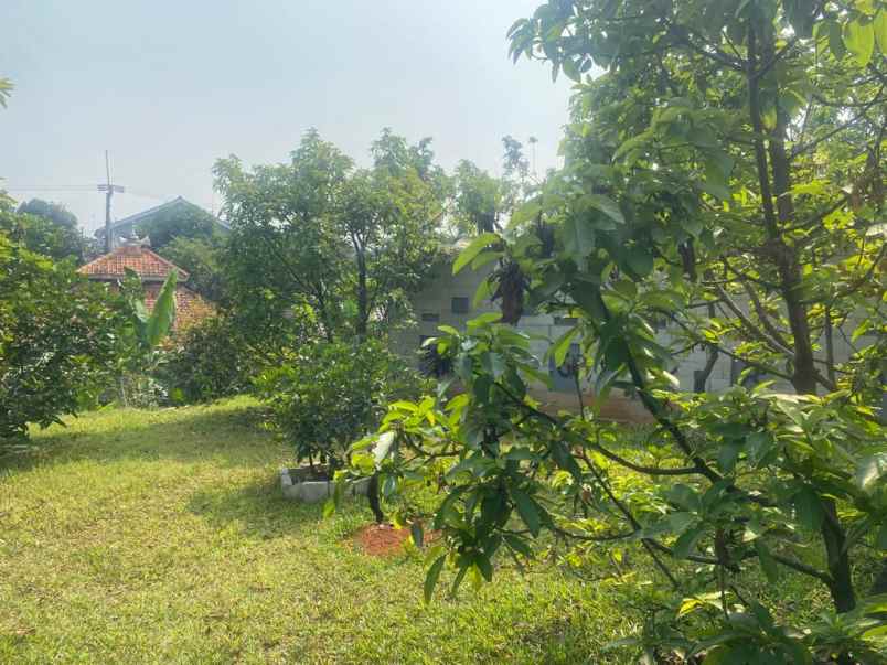 dijual rumah kebun di bogor kota