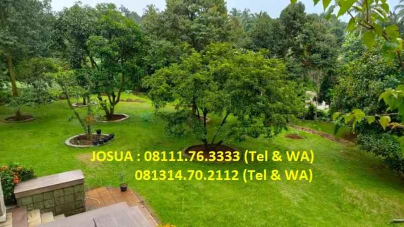 dijual rumah rumah billabong park view