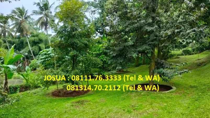 dijual rumah rumah billabong park view