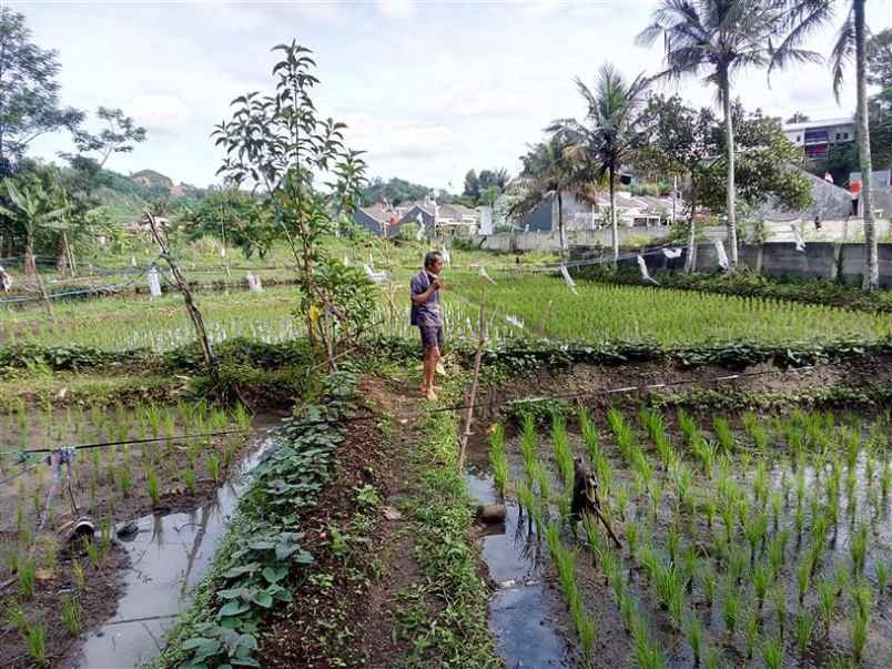 dijual sebidang tanah di cimahi selatan