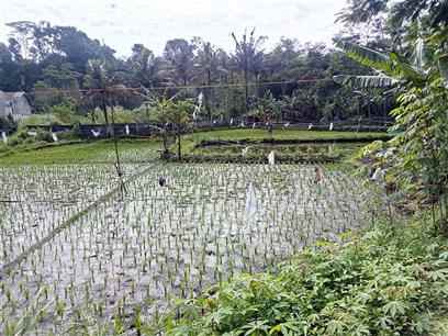 dijual sebidang tanah di cimahi selatan