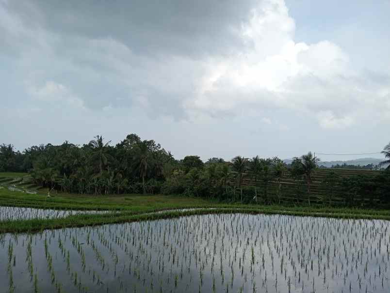 dijual tanah angkah