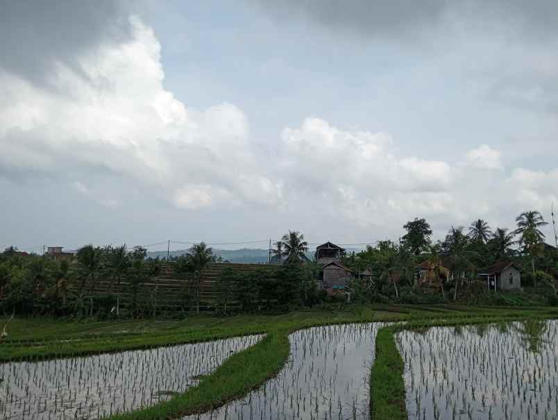 dijual tanah angkah