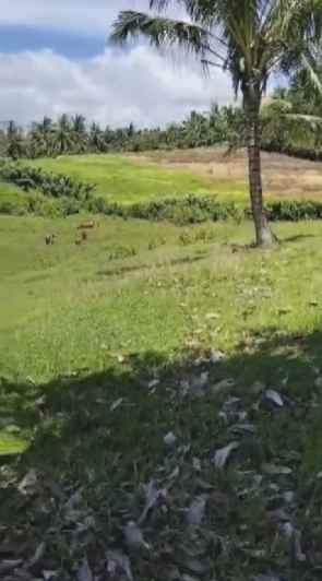 dijual tanah balian beach selemadeg