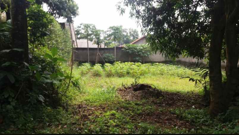 dijual tanah bambu apus pamulang tangsel