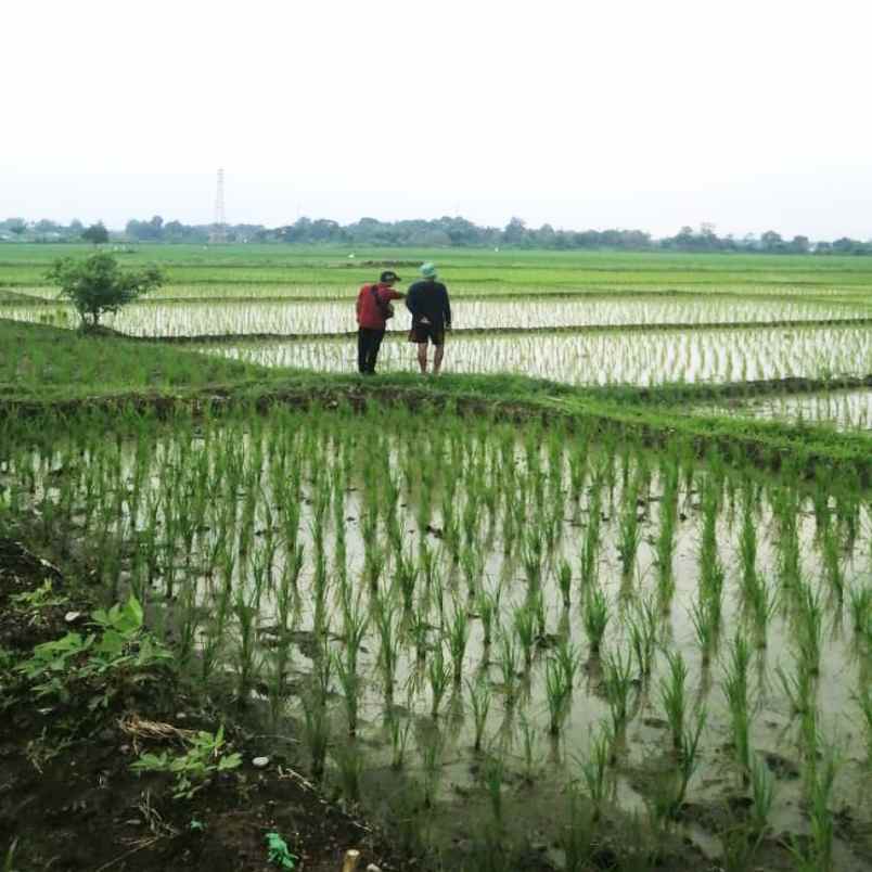 dijual tanah blok sukamelang desa