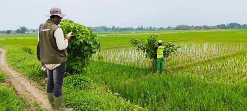 dijual tanah blok sukamelang desa