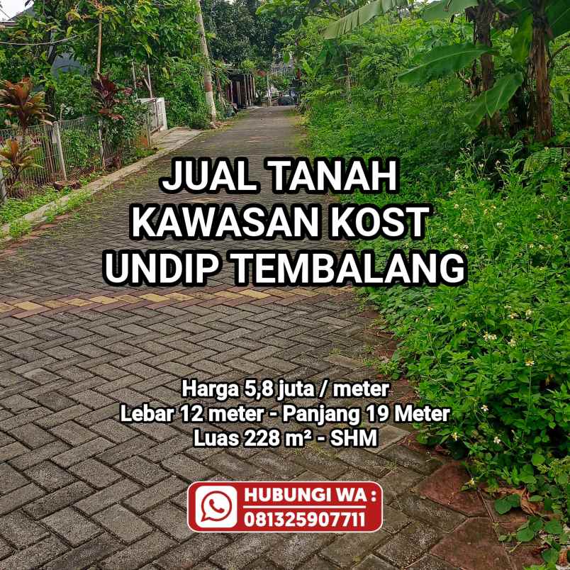 dijual tanah bulusan