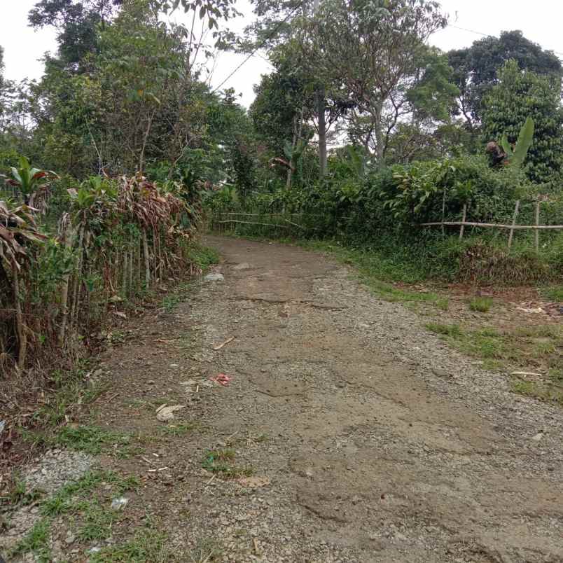 dijual tanah cihanjawar bojong